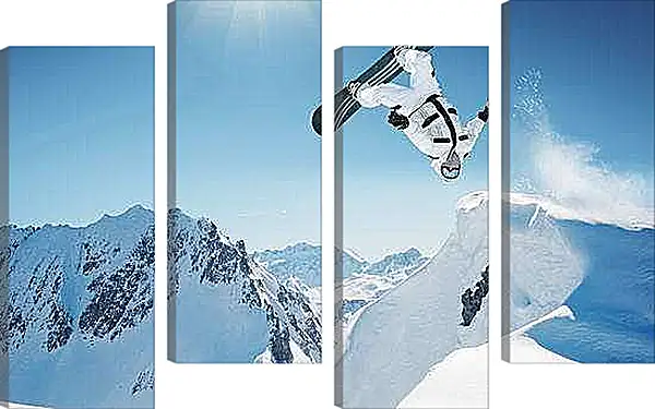 Модульная картина - Переворот в воздухе