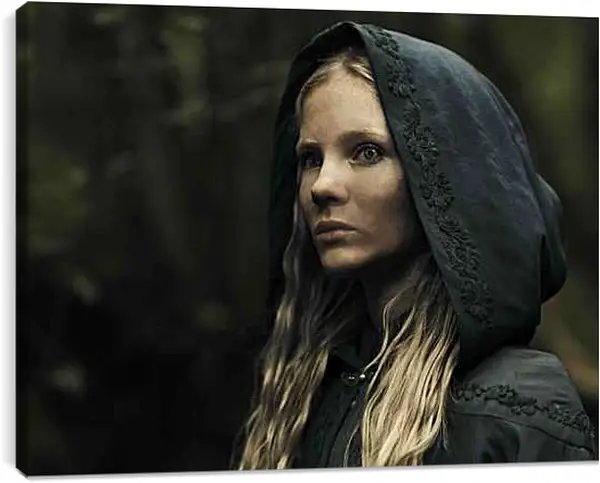 Постер на подрамнике - Ведьмак. The Witcher