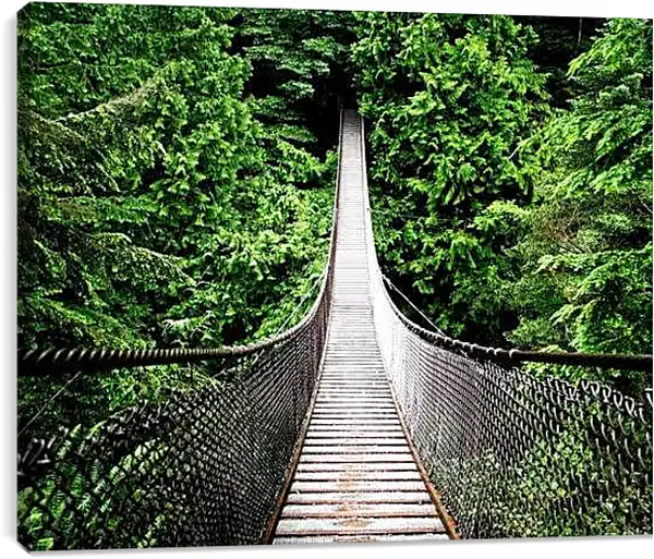 Постер на подрамнике - Подвесной мост