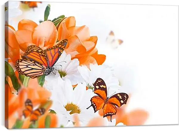 Постер на подрамнике - Оранжевая бабочка