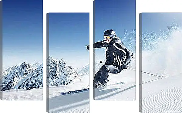 Модульная картина - Скоростное спускание