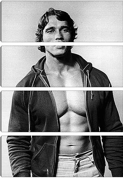 Модульная картина - Арнольд Шварценеггер (Arnold Schwarzenegger)