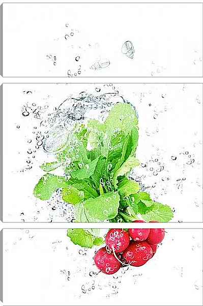 Модульная картина - Редис. Свежесть.