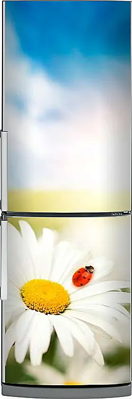 Магнитная панель на холодильник - Ромашки