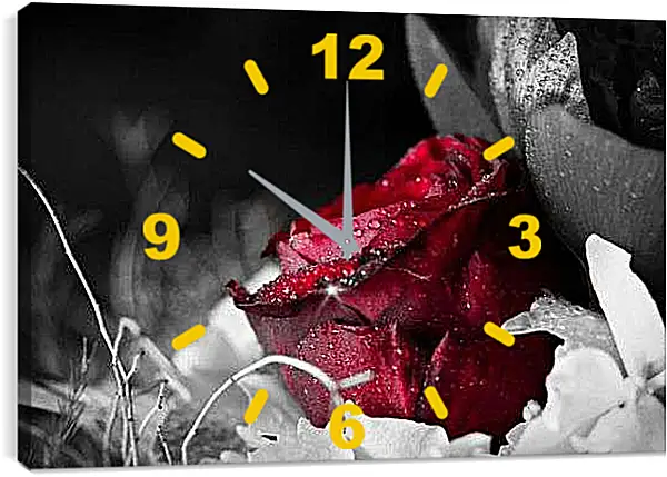 Часы картина - Красная роза в росе