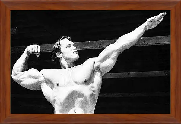 Картина в раме - Арнольд Шварценеггер (Arnold Schwarzenegger)
