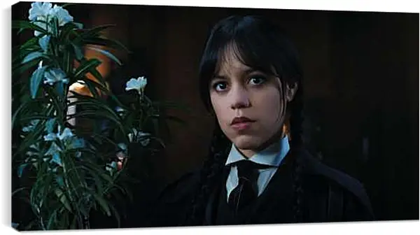 Постер на подрамнике - Уэнсдей Аддамс возле цветка