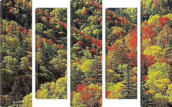 Модульная картина - Осень