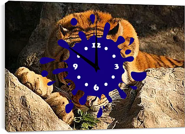 Часы картина - Бенгальский тигр. Крупным планом