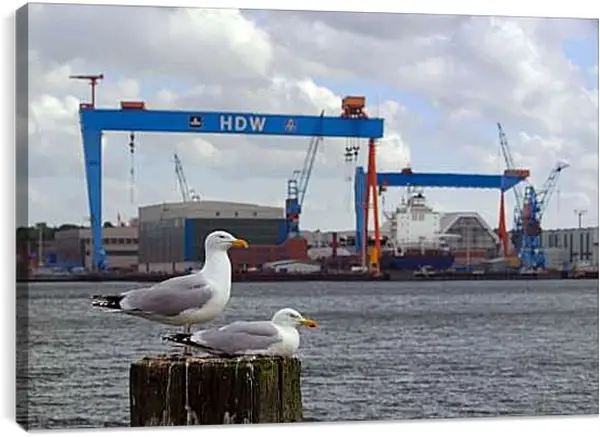 Постер на подрамнике - Чайки