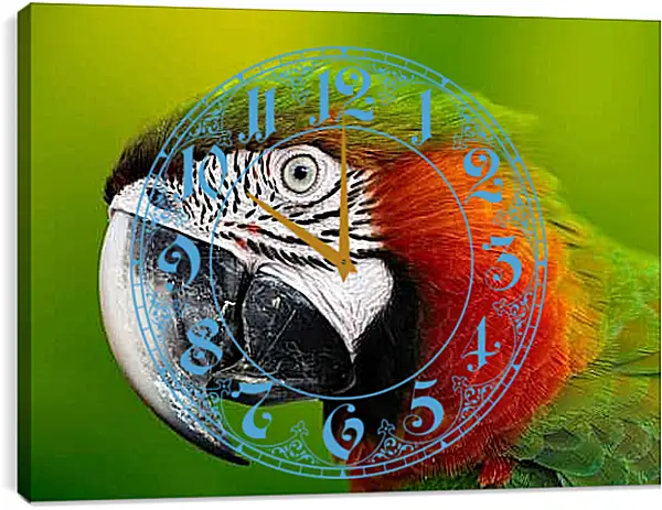 Часы картина - Голова зелёного попугая