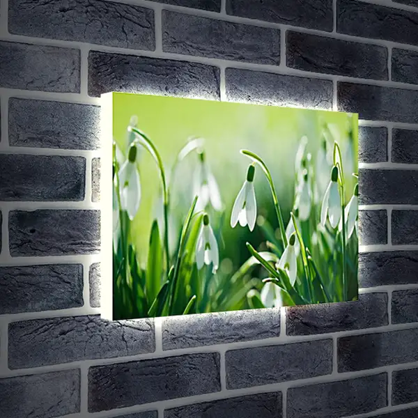 Лайтбокс световая панель - Весна