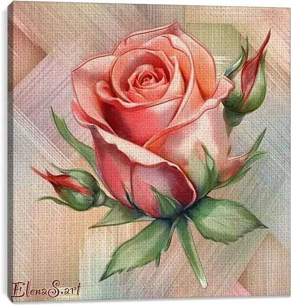 Постер на подрамнике - Rose 4