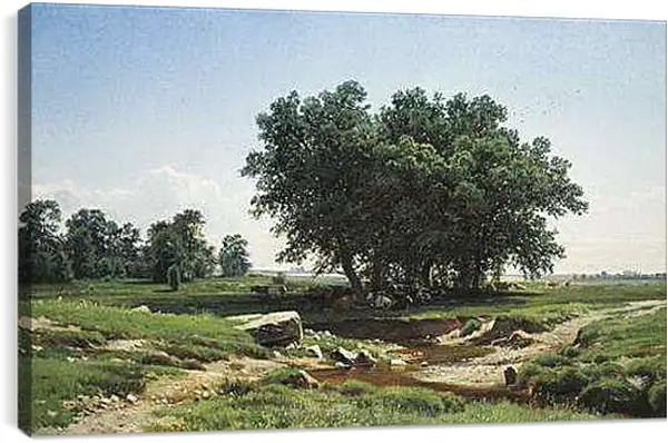 Постер на подрамнике - Дубки. Иван Шишкин