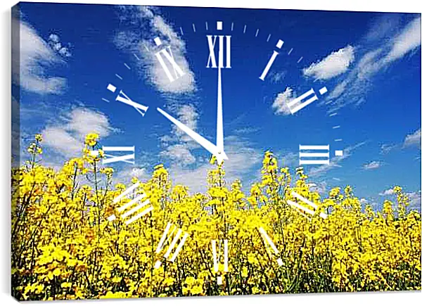 Часы картина - Рапс и небо