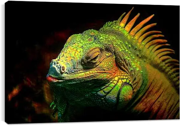 Постер на подрамнике - Ящерица