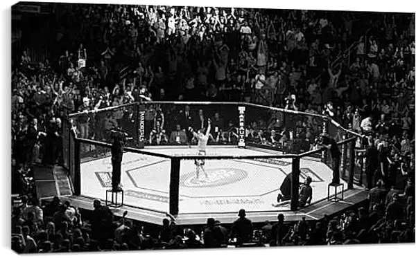 Постер на подрамнике - UFC. MMA. В центре восьмиугольника.