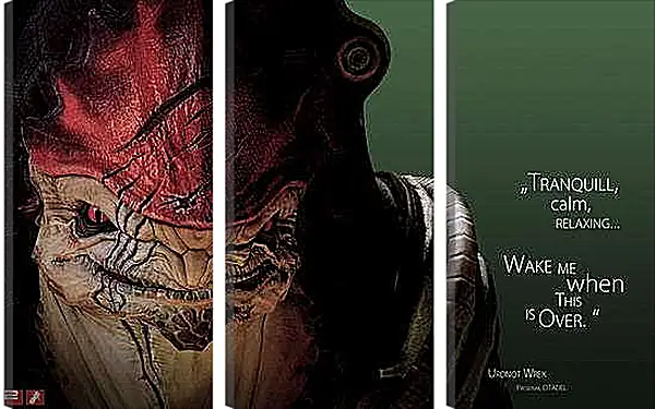 Модульная картина - Mass Effect 2