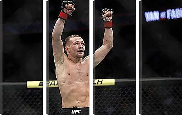 Модульная картина - UFC. MMA. Пётр Ян