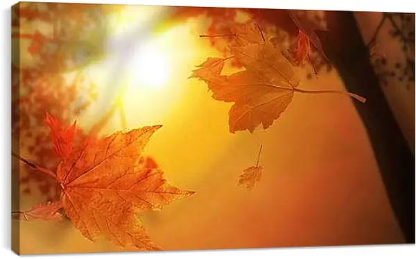 Постер на подрамнике - Осень