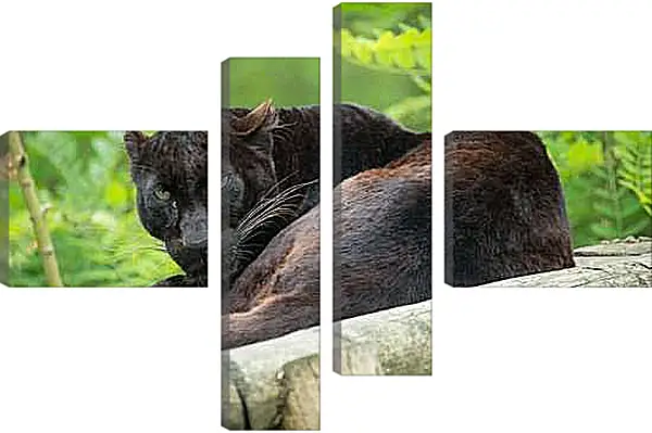 Модульная картина - Пантера