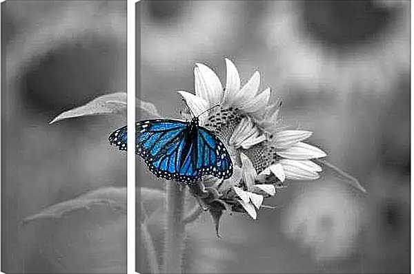 Модульная картина - Бабочка