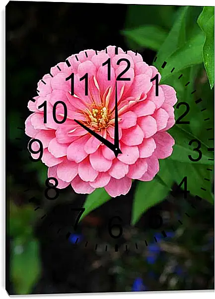 Часы картина - Камелия