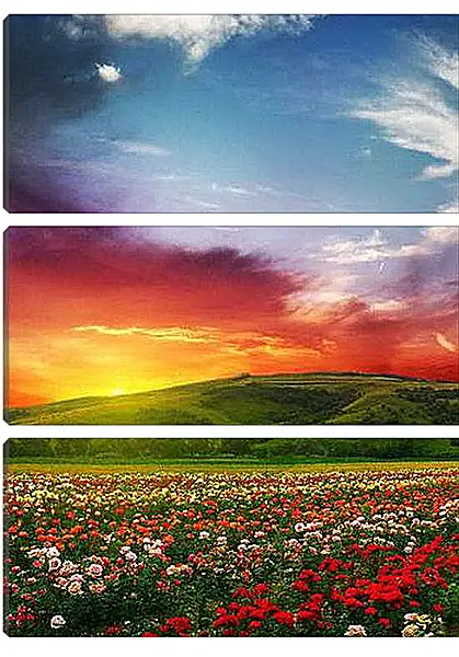 Модульная картина - Цветочное поле на закате