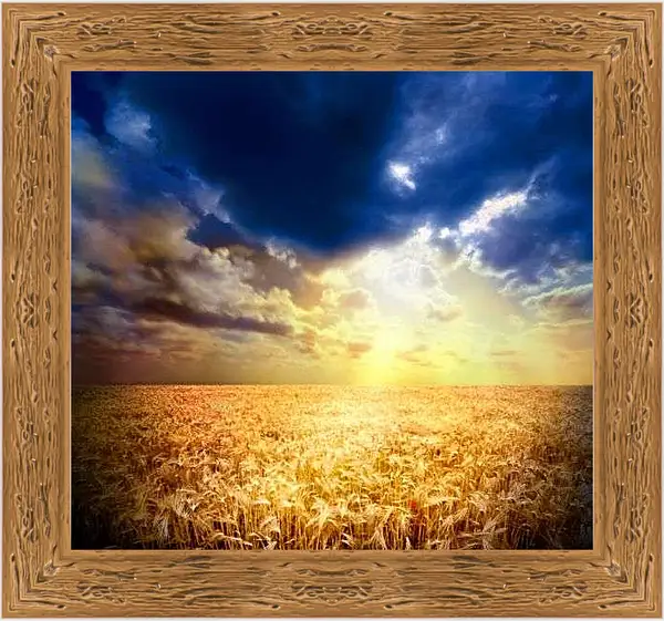 Картина в раме - Поле пшеницы