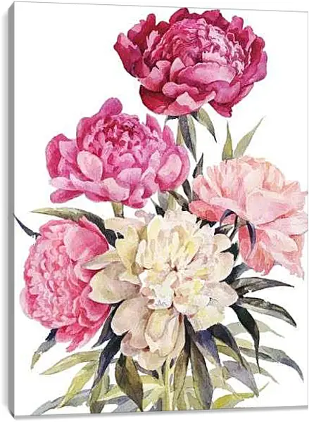 Постер на подрамнике - Пионы