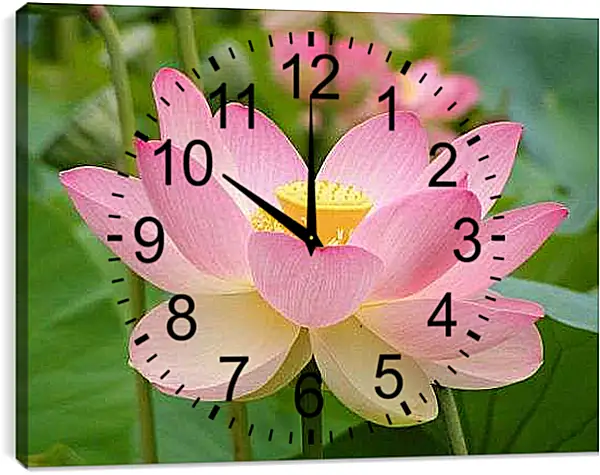 Часы картина - Розовый лотос