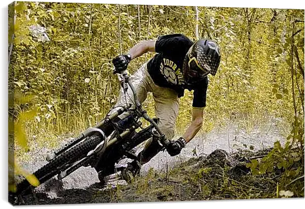 Постер на подрамнике - Спорт