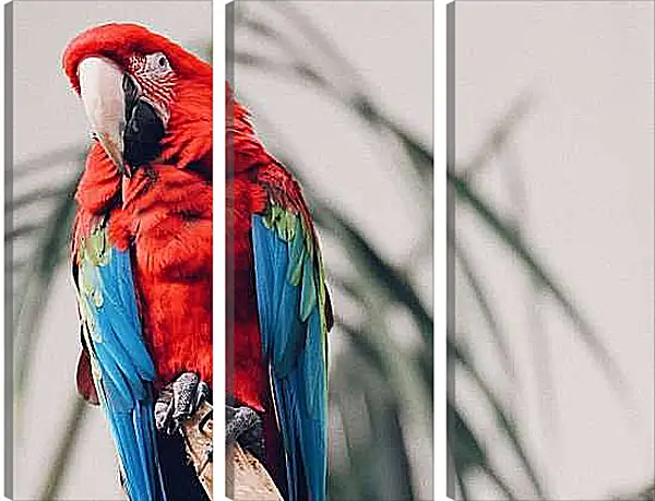 Модульная картина - Попугай тропический