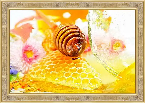 Картина в раме - Медовые соты и ложка. Сладкое Утро.