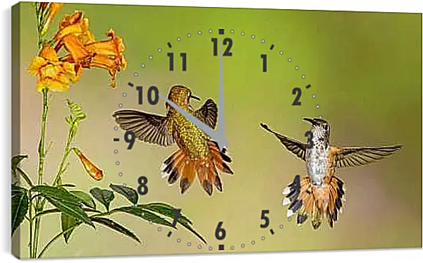 Часы картина - Колибри