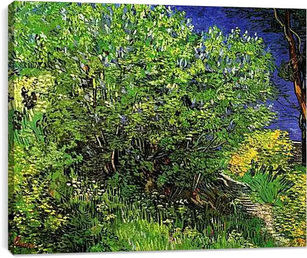 Постер на подрамнике - Lilacs. Винсент Ван Гог