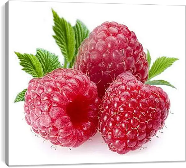 Постер на подрамнике - Малина. Ягодное Наслаждение.