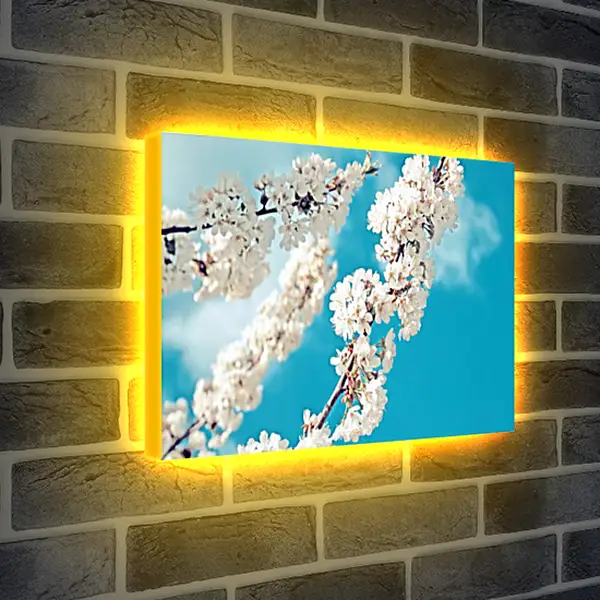 Лайтбокс световая панель - Весна