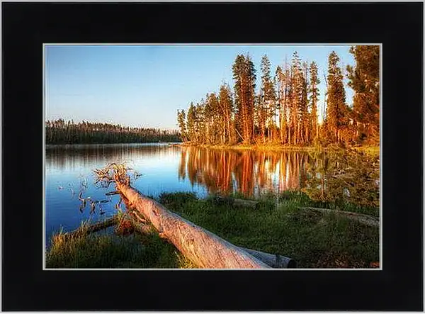 Картина в раме - тихое озеро