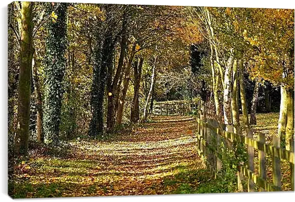 Постер на подрамнике - Осень