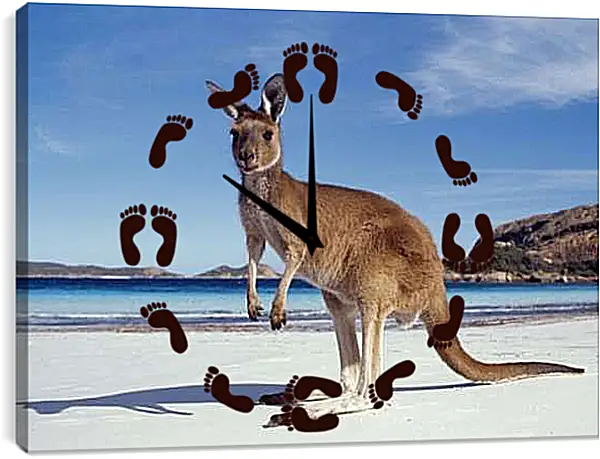 Часы картина - Кенгуру