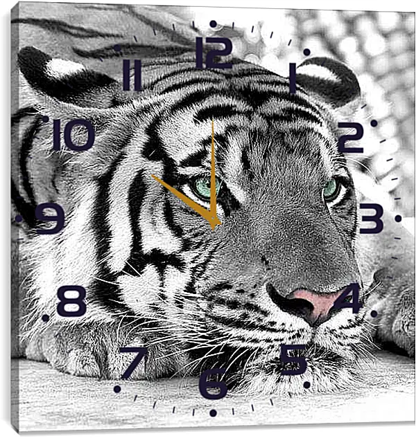 Часы картина - Зеленоглазый тигр