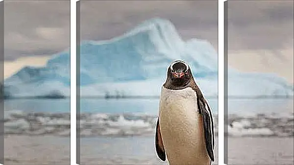 Модульная картина - Пингвин на фоне Айсберга