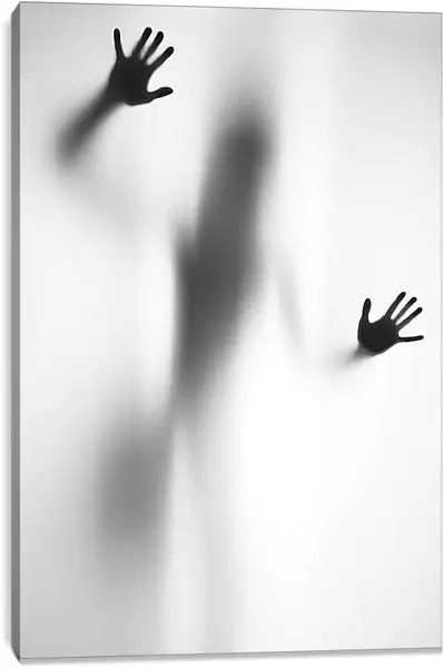 Постер на подрамнике - Силуэт
