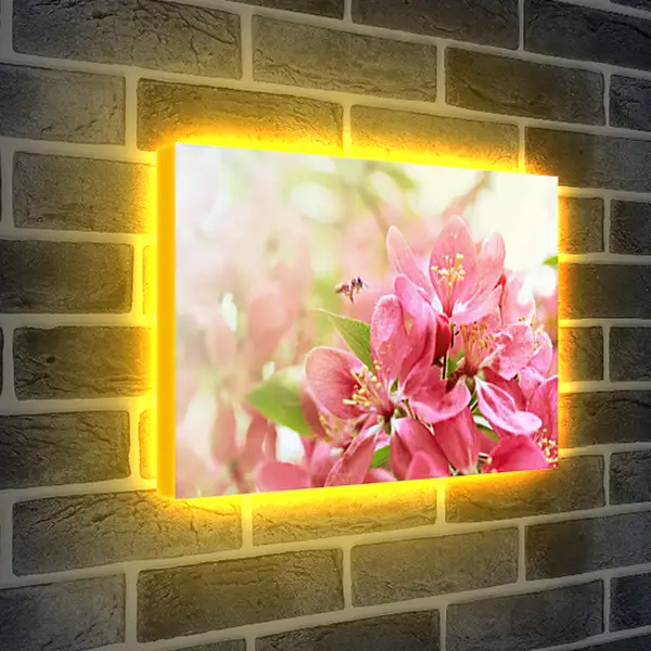 Лайтбокс световая панель - Весна