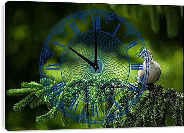 Часы картина - Голубь