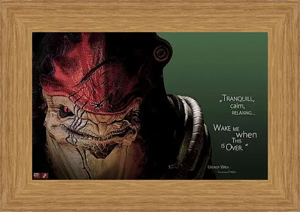 Картина в раме - Mass Effect 2