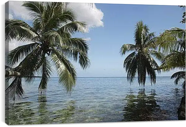 Постер на подрамнике - Лето