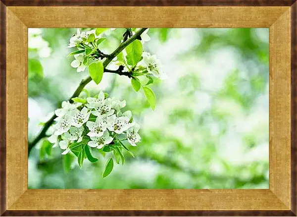 Картина в раме - Деревья в цвету