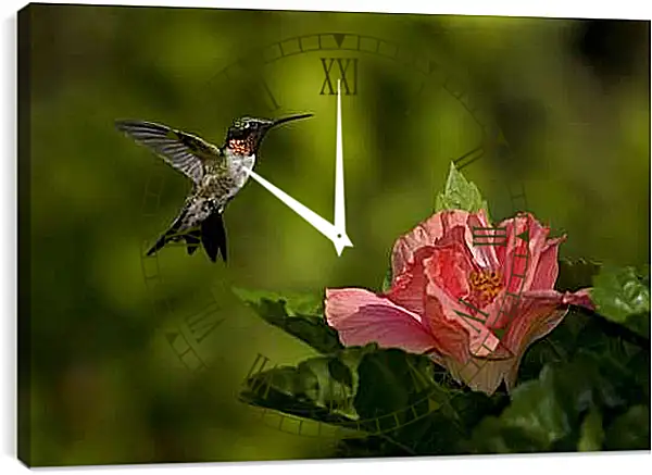 Часы картина - Колибри